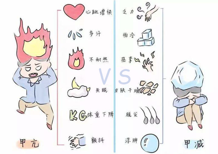 亿德体育(中国)体育官方网站